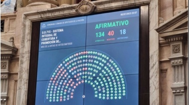 Tierra del Fuego podría quedarse con un solo Diputado Nacional