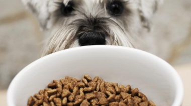 Río Grande contará con la fábrica de alimentos para mascotas más grande de la región