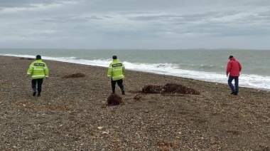Hallaron un hueso en Punta María