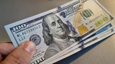 Qué opinan economistas sobre trepada del dolar