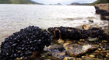 Detectaron una fuga natural de petróleo crudo