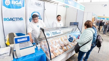 Más de 16 mil pollos producidos en 2024, comercializados en toda la provincia