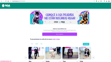 Ferro brindó detalles del Portal Mascotero y adelantó campaña de castración para este sábado