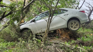 Dejó el auto estacionado y lo encontró incrustado en un arbusto