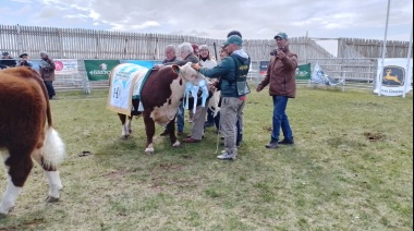 Estancia Pirinaica se llevó el premio al Gran Campeón de la exposición Hereford