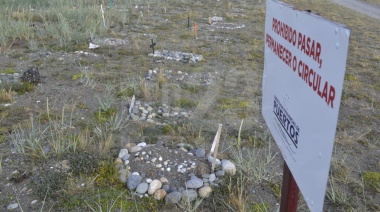 Cementerio de mascotas en terrenos de la Dirección Provincial de Puertos