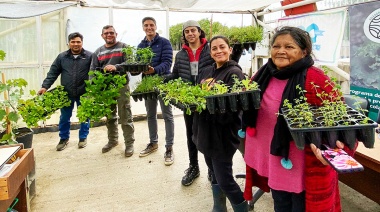 Se estima la entrega de 1.800.000 plantines de verduras para esta temporada