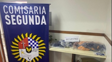 Mujer robó elementos de belleza y fue allanada