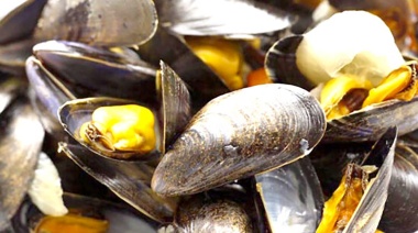 Se declara veda de moluscos bivalvos en Punta Paraná por marea roja