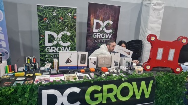 Incertidumbre y parálisis rodean el futuro del cannabis medicinal