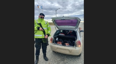 Detectaron un automóvil trasladando carne vacuna de manera irregular