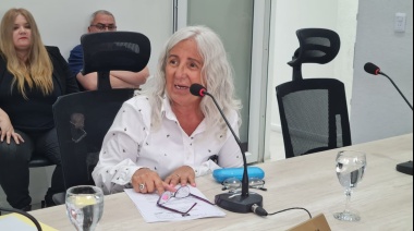 Runin presentó proyecto para que los vehículos tengan un máximo de quince años de antigüedad