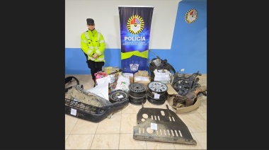 Recuperan elementos robados de un desarmadero