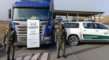 Secuestran cigarrillos de contrabando ocultos en camión de carga