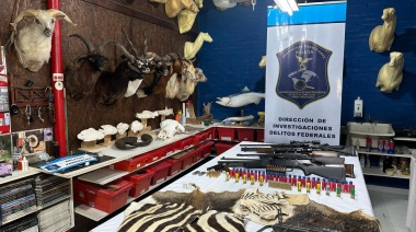 Se allanó un taller taxidermista que traficaba piezas de especies protegidas