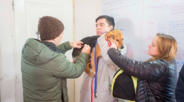 El Municipio de Ushuaia atendió más de 200 animales durante la jornada “Zoonosis más cerca”