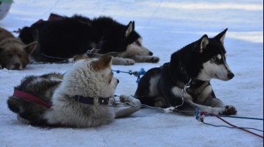 Polémica por perros siberianos y la ocupación irregular del Valle de los Lobos en Ushuaia