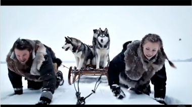 ARAF inició su campaña en los centros invernales para que los huskies no sean animales de tiro