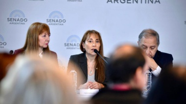 “La Emergencia en Discapacidad será ley”, afirmó la senadora López