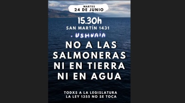 Ambientalistas salen al cruce de las salmoneras “en mar y en tierra”
