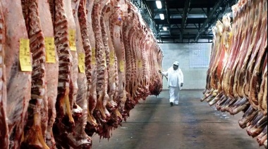 Nación autoriza el ingreso de carne con hueso a la Patagonia