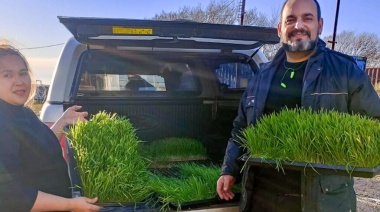 Entregaron forraje hidropónico a productores avícolas