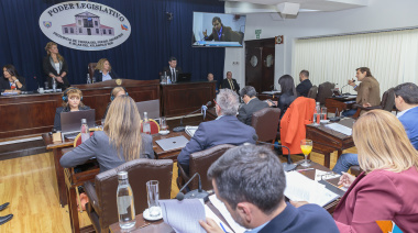 Aprobaron una Ley para sostener la Osef
