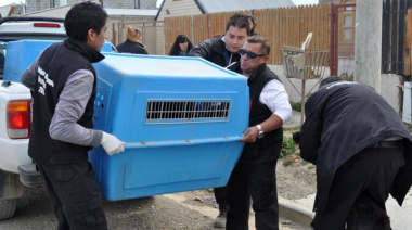 El Municipio de Río Grande rescató a 14 perros