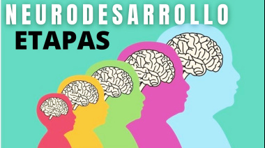 Están abiertas las inscripciones para el Programa Municipal de Formación sobre Neurodesarrollo