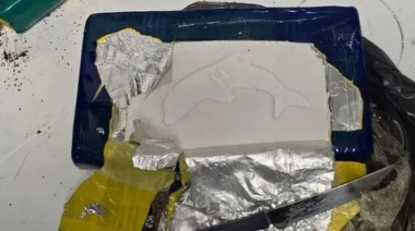 Camionero armado llevaba 15 kilos de cocaína e iba consumiendo