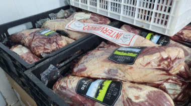 Incautan carne congelada en Ushuaia y el dueño de la carnicería afirma que “estaba apta para el consumo, no para la venta”