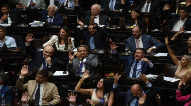 Diputados aprobó el rechazo al veto de Milei a la emergencia en Discapacidad