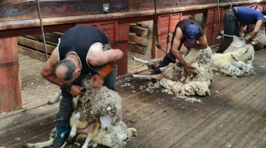 Confirmaron nuevos aumentos de la prestación por desempleo para trabajadores rurales