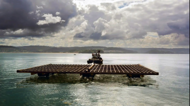 El CONICET y una pesquera analizan realizar el primer cultivo de mejillones en el Beagle