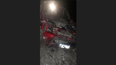Una camioneta impactó con una vaca sobre la ruta 3