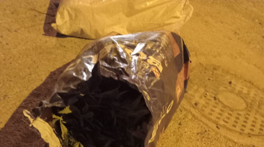 Dos menores demorados con plantas que serían marihuana en Chacra 11