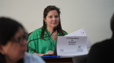 Freiberger exigió planificación urbana y respeto ambiental ante nuevos proyectos en Ushuaia