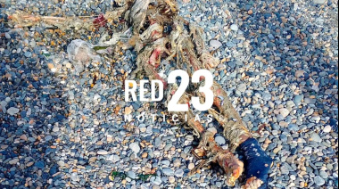 Hallazgo de un cadáver en la costa de Río Grande: amplio operativo en Caleta La Misión
