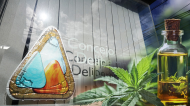 El Concejo de Ushuaia tratará la regulación cannábica