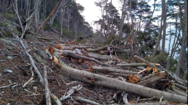Denuncian penalmente a la Municipalidad de Ushuaia