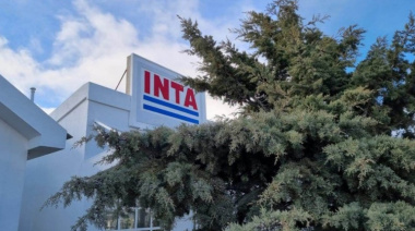 Planifican un plan de retiros voluntarios para deshacerse de un tercio de los empleados del INTA