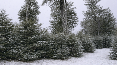 Un Año Nuevo bajo todos los climas en el camping La Correntina