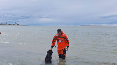 Rescatan a un perro que quedó atrapado por la marea en Río Grande