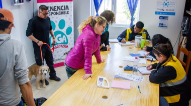 Más de 225 vacunas y nuevas adopciones: en una jornada de cuidado animal