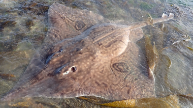 Expedición que abre el mapa marino en Tierra del Fuego