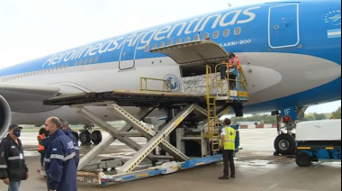 El Gobierno Nacional pone en venta Intercargo y avanza con la salida del Estado