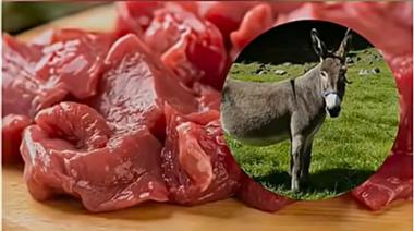 Llega la carne de burro al mercado en medio del fuerte aumento de la carne vacuna
