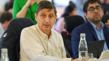 “La reforma no es prioritaria en medio de la crisis”: Tavarone cuestionó la reforma constitucional