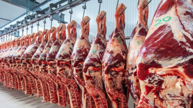 La Justicia habilitó el ingreso de carne con hueso a la Patagonia y levantó la barrera sanitaria