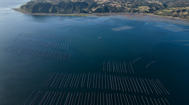 Impulsan un recurso judicial para frenar la instalación de salmoneras en la provincia